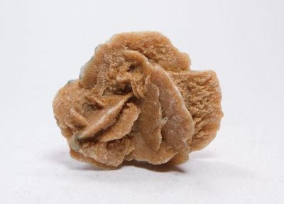 Sádrovec - Sahara, Alžír (KB-26)